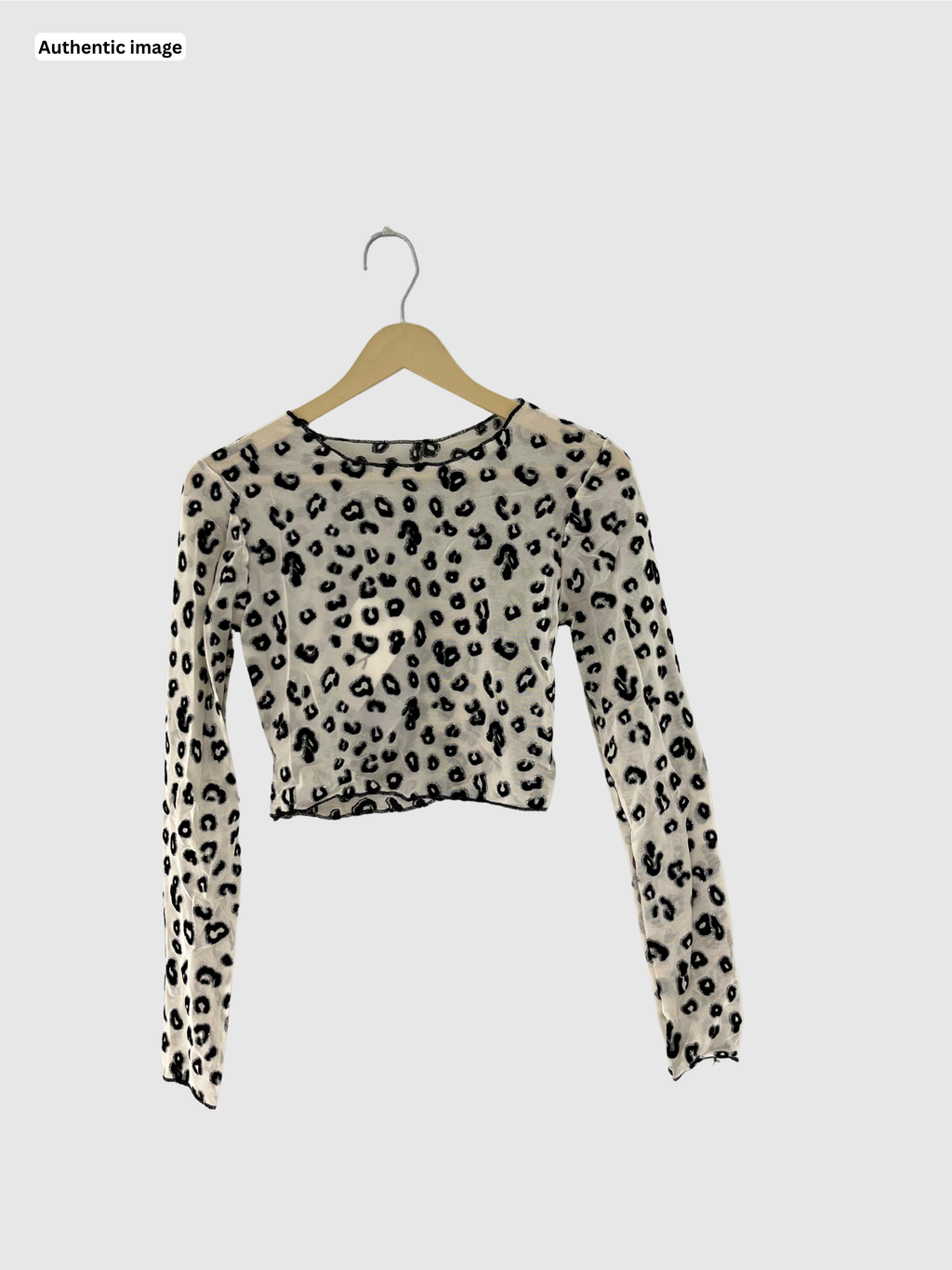 Trendy Mesh Crop Top for Women – Stylish Party & Casual Wear